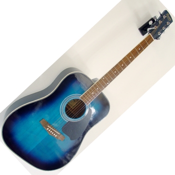 Ibanez PF 5 MS