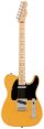 Fender American Professional  Telecaster MN BTB